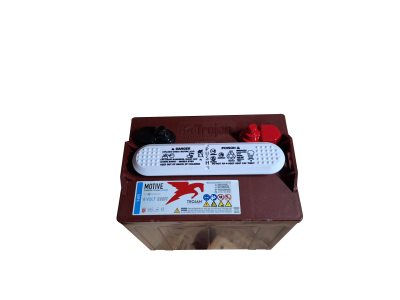 Trojan Traktionsbatterie für EBLIZZ Elektrofahrzeuge